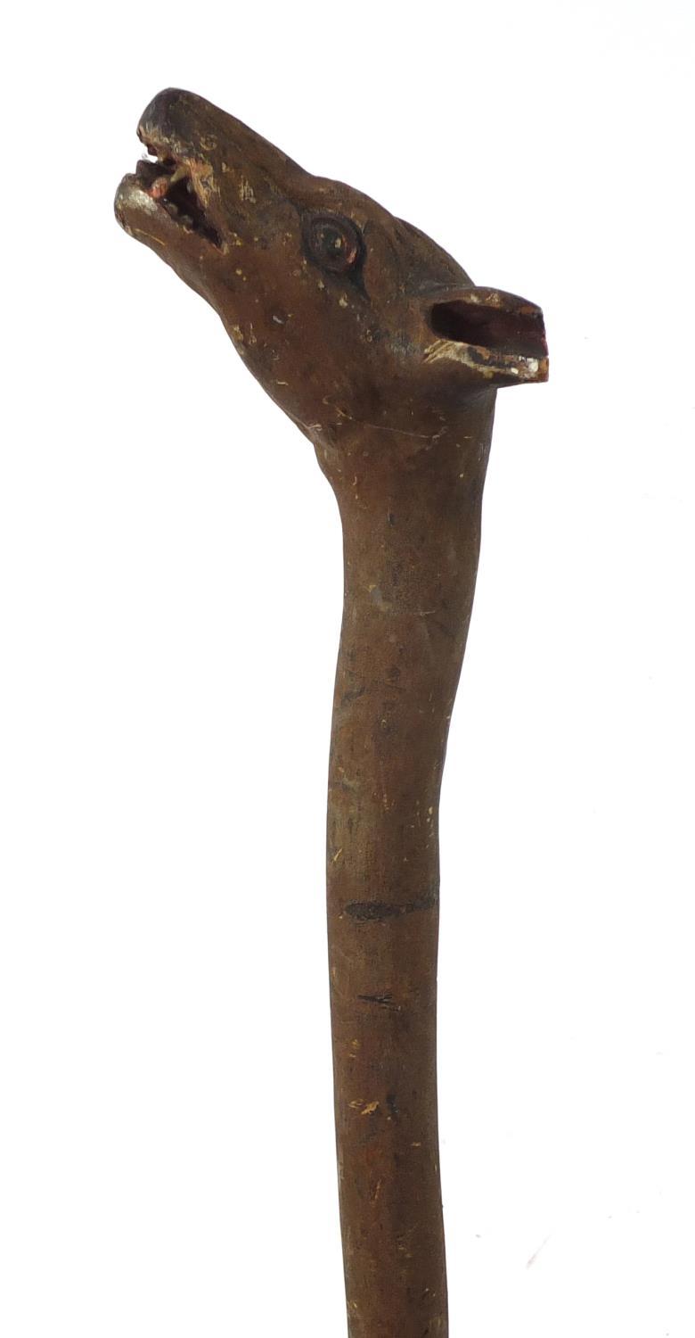 Naturalistic wooden walking stick with carved hyena's head pommel having teeth and painted eyes, - Image 2 of 6