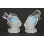 Two French Art Deco opalescent fish glass paperweights by Sabino, each 5.5cm high :For Further