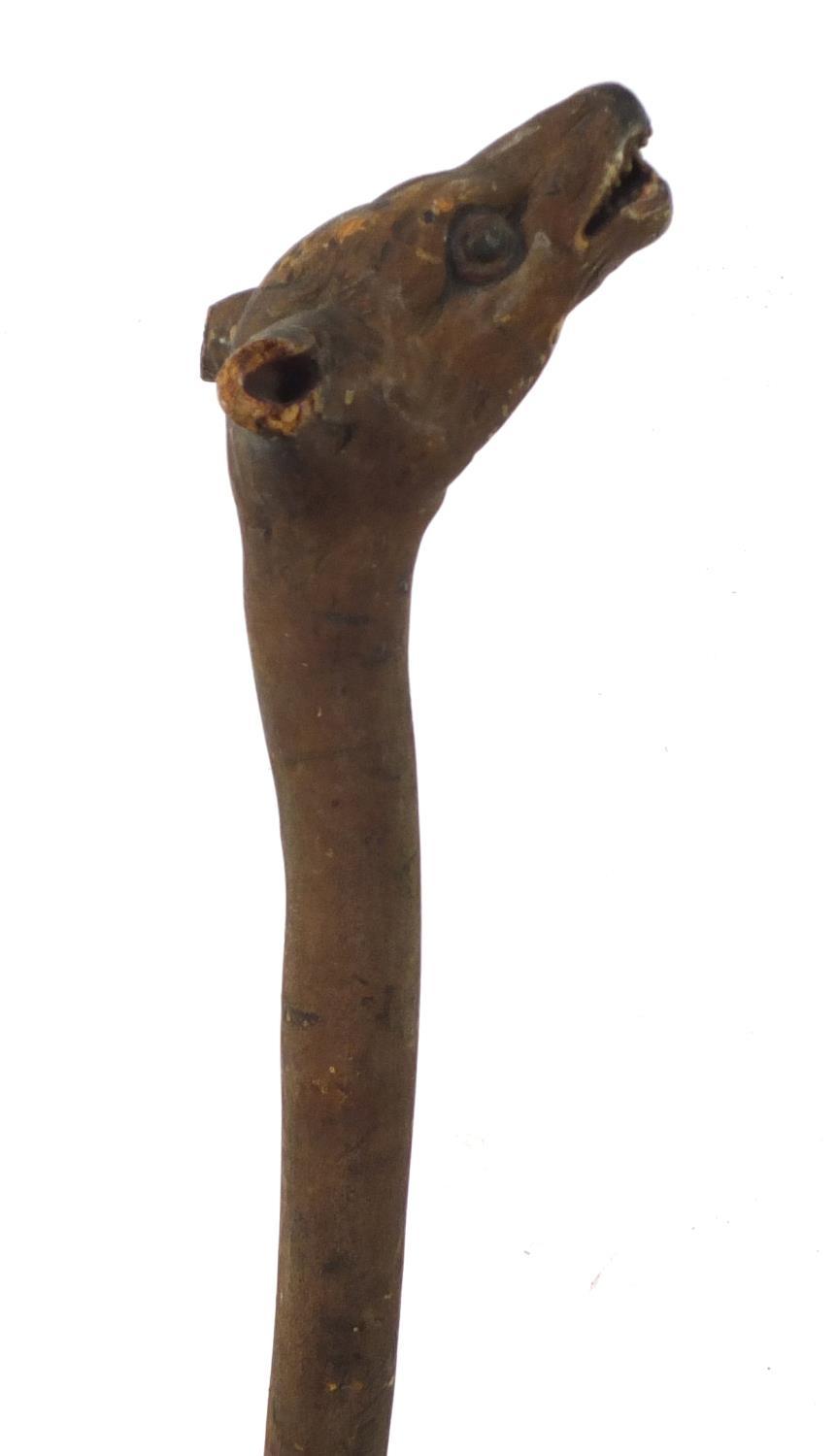 Naturalistic wooden walking stick with carved hyena's head pommel having teeth and painted eyes, - Image 5 of 6