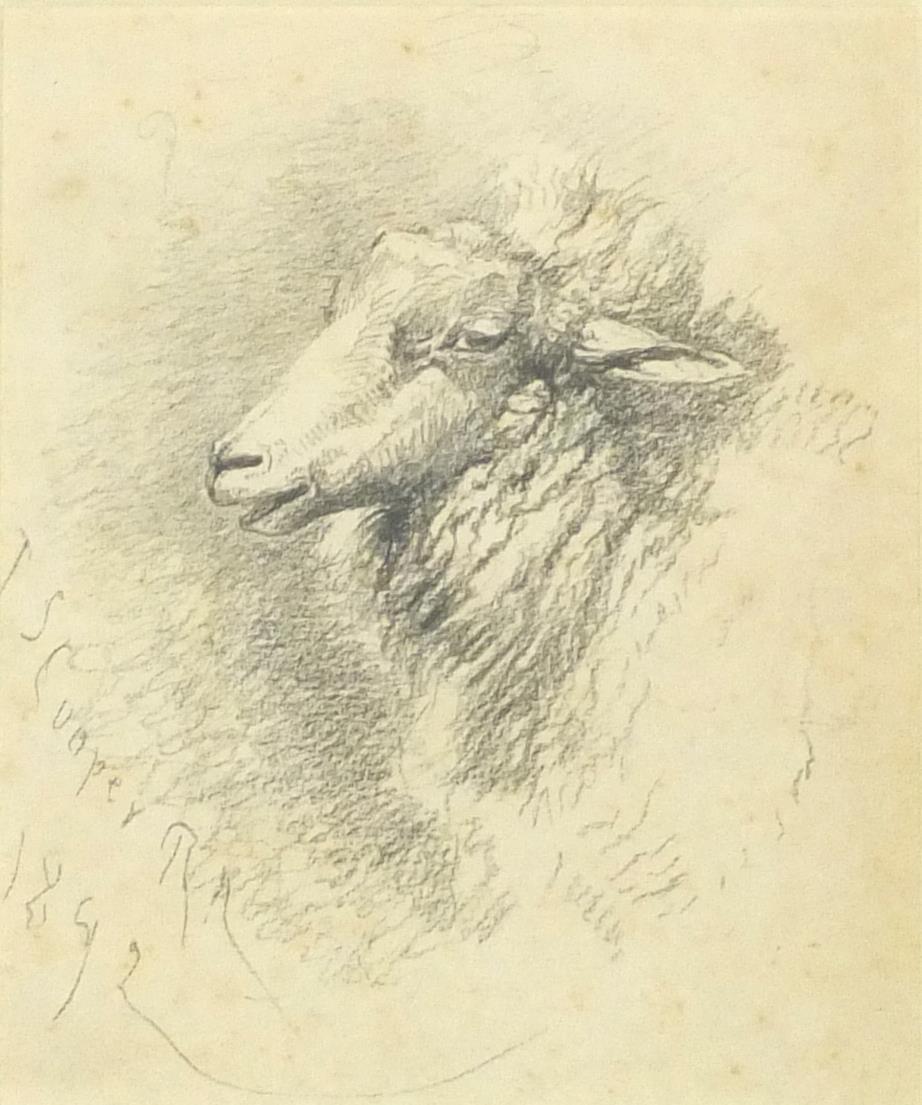 Thomas Sidney Cooper - Head of a sheep, late 19th century pencil on paper, mounted, framed and