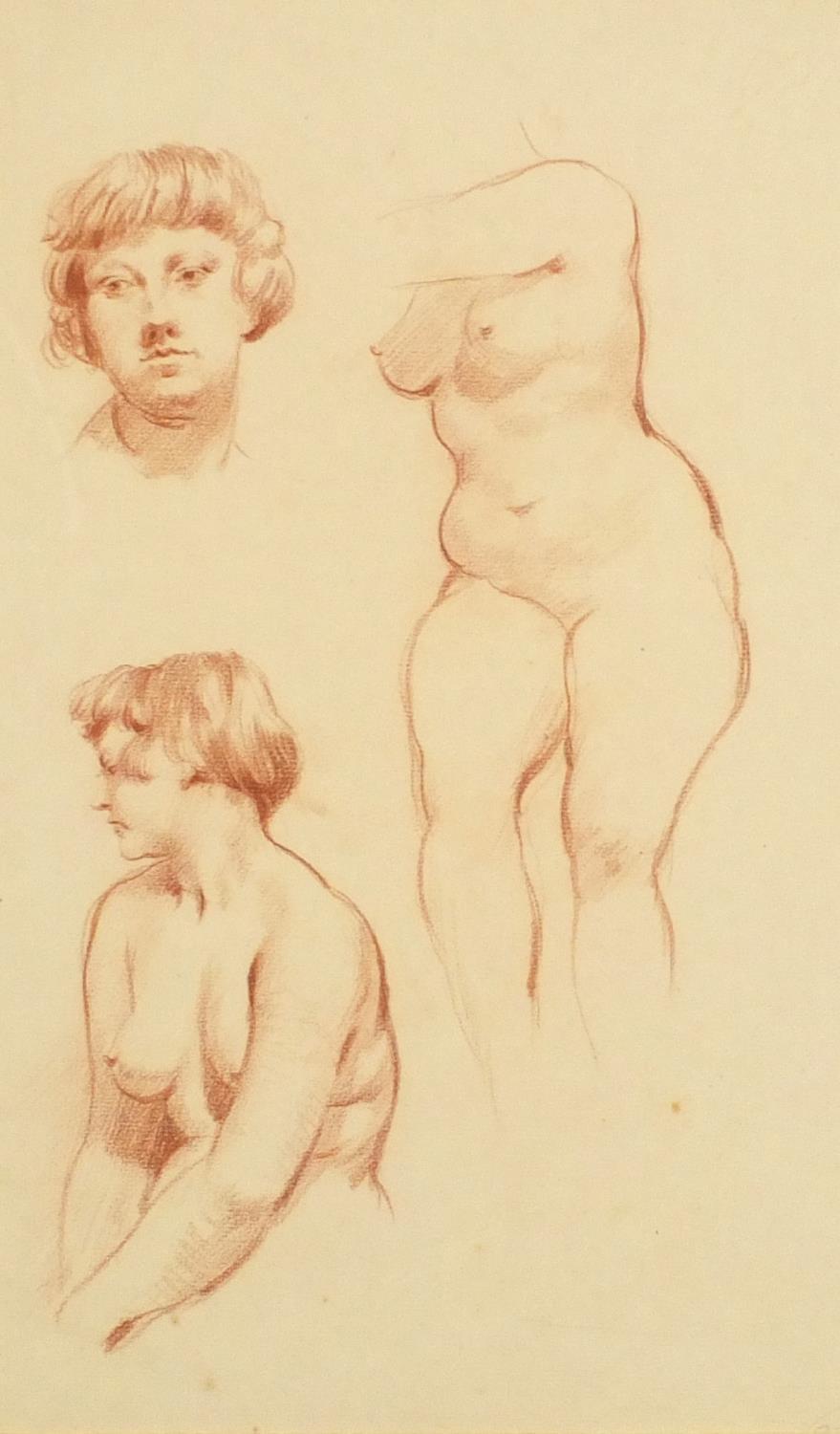 The female form, sanguine chalk on paper, inscribed E B George verso, mounted, unframed, 42cm x 25cm