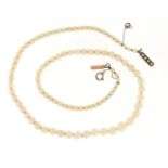 Single string graduated pearl necklace with unmarked gold clasp, 42cm in length, 14.6g :For