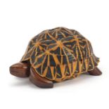 Anglo-Indian star tortoise tea caddy with ebony, fruitwood and exotic inlay, 24.5cm in length :For