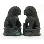 Pair of Chinese bronzed Foo dogs, each 15.5cm high :For Further Condition Reports Please Visit Our