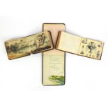 Three leather bound scrap albums including an early Victorian album with black and white cut outs,