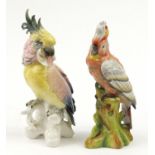 Two hand painted porcelain cockatoos including one by Karl Enz, the largest 28cm high :For Further