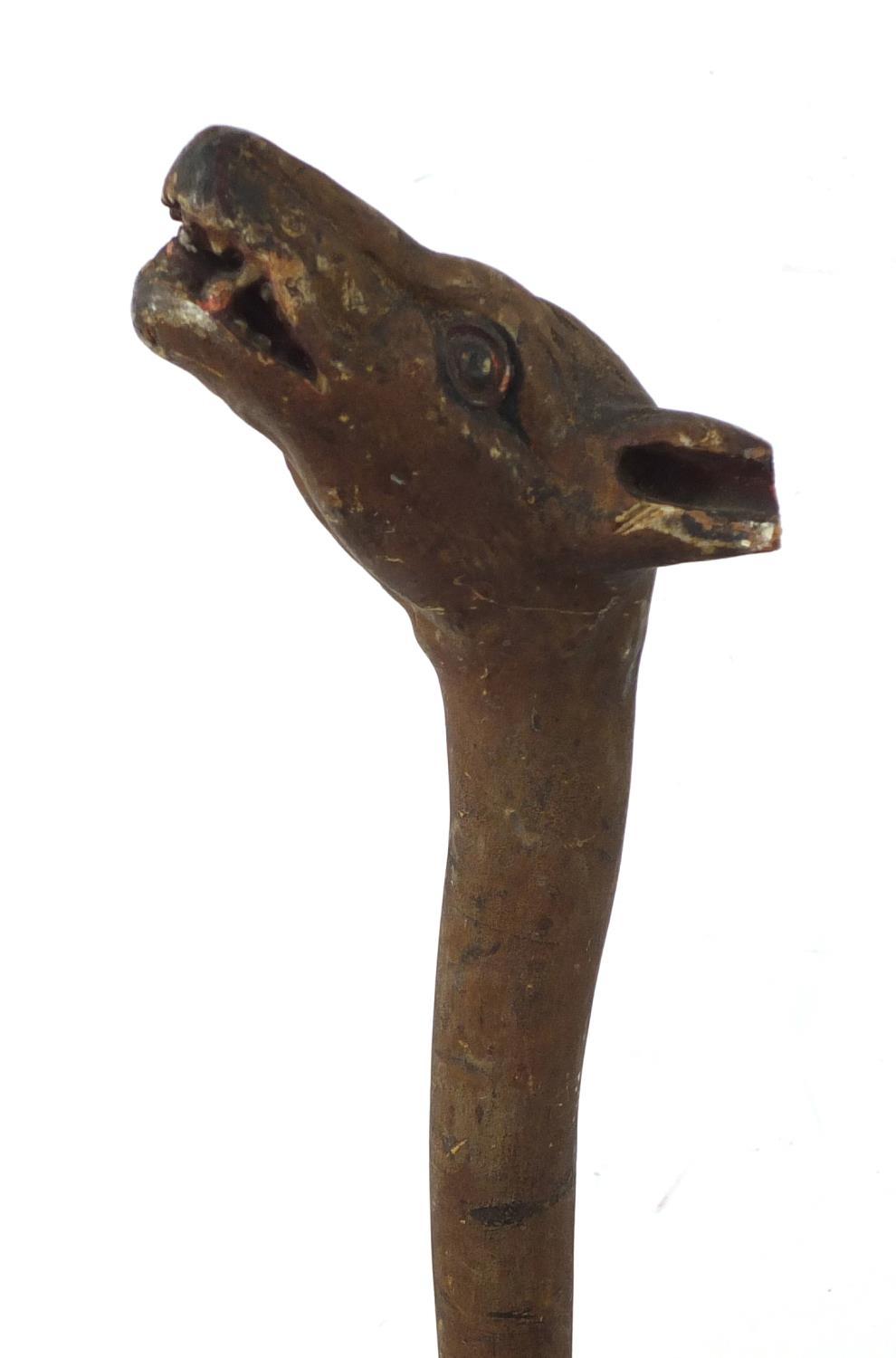 Naturalistic wooden walking stick with carved hyena's head pommel having teeth and painted eyes,