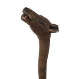 Naturalistic wooden walking stick with carved hyena's head pommel having teeth and painted eyes,