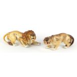 Two German hand painted porcelain animals by Sitzendorf comprising a lion and lioness, the largest