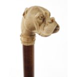 Hardwood walking stick with Boxer dog's head design pommel, 92cm in length :For Further Condition