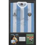 Diego Maradona signed Argentinian football jersey, mounted and framed, overall 98.5cm x 63cm :For