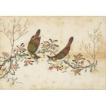 Chinese painting of two birds on a branch, mounted, framed and glazed, 26cm x 18.5cm :For Further