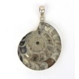 Large Ammonite fossil pendant with silver mount, 6.5cm long, approximate weight 40.0g :For Further
