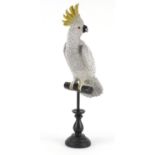 Painted model of a cockatoo in the style of Franz Xaver Bergmann, 51cm high :For Further Condition
