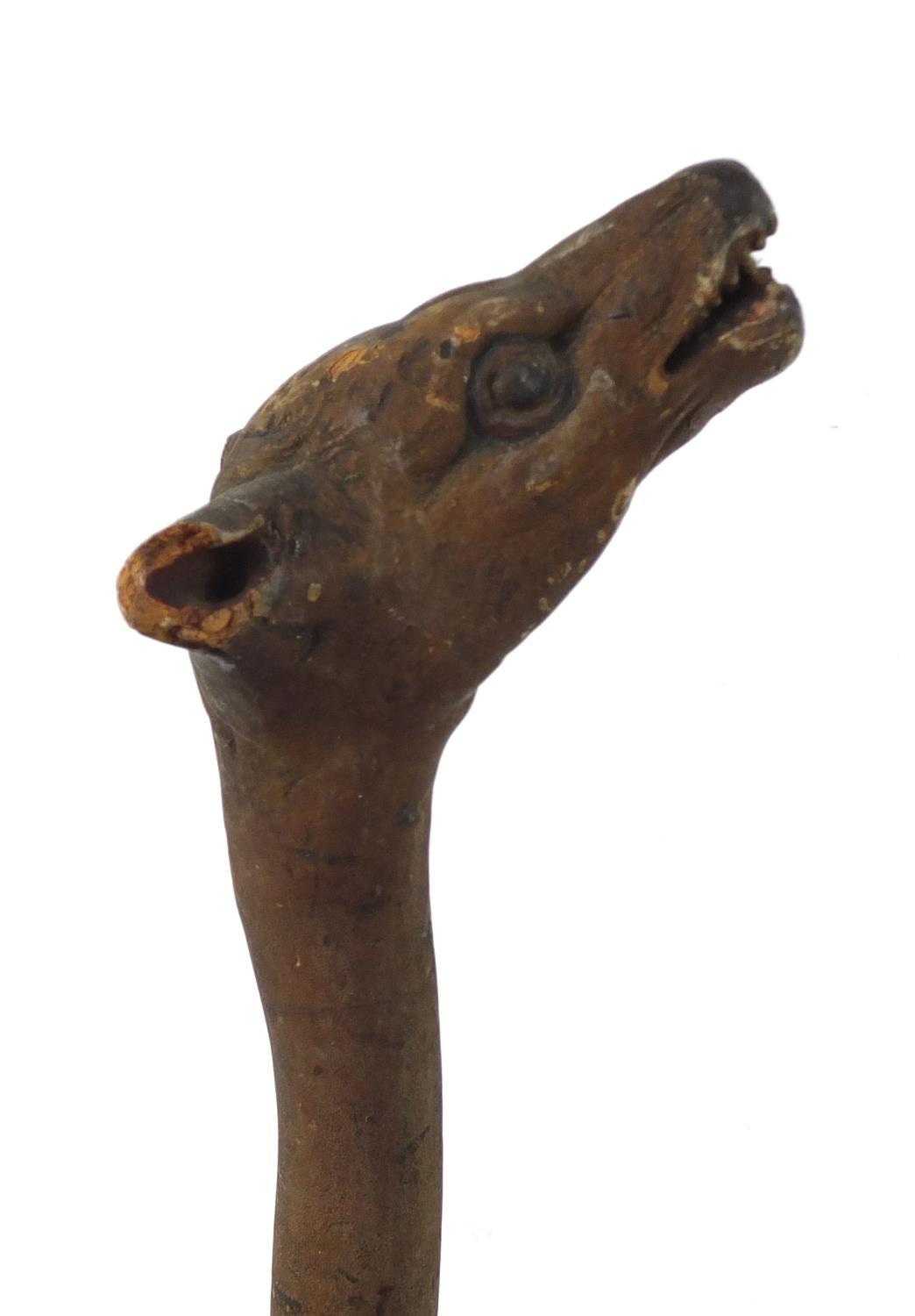 Naturalistic wooden walking stick with carved hyena's head pommel having teeth and painted eyes, - Image 4 of 6