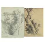 Figure by woodland and study of a tree, two watercolours, one signed with monogram, the other