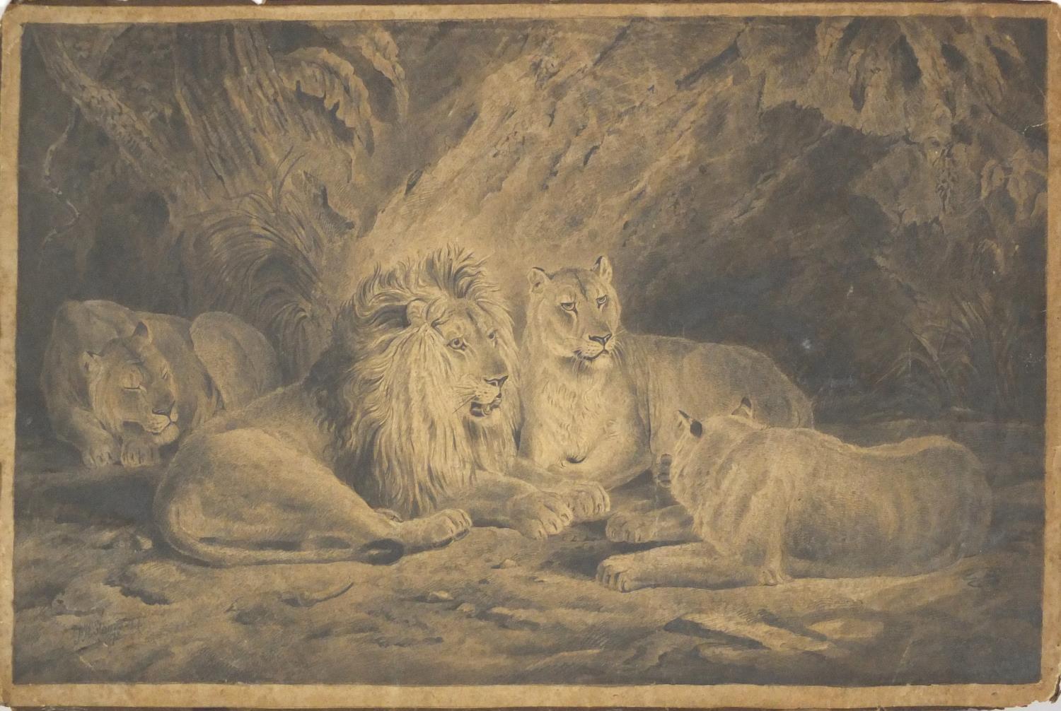PH Staines 1873 -Well detailed pencil drawing- Pride of Lions, 56cm x 35cm : For Condition Reports - Image 2 of 4