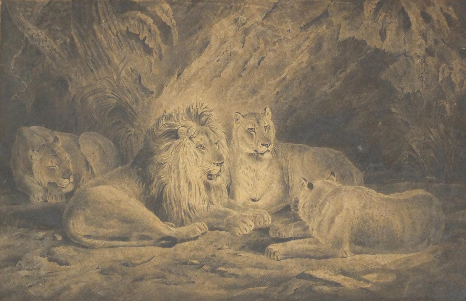 PH Staines 1873 -Well detailed pencil drawing- Pride of Lions, 56cm x 35cm : For Condition Reports