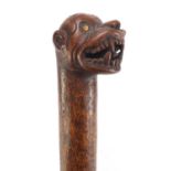 Tribal interest naturalistic walking stick with carved grotesque animal head pommel, 94cm in