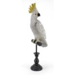 Painted model of a cockatoo in the style of Franz Xaver Bergmann, 51.5cm high : For Further