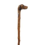 Naturalistic walking stick with carved dog's head pommel having beaded eyes and silver shield,