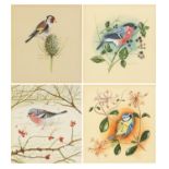 Stephen Thomas - Blue tit, bullfinch, chaffinch and one other, two pairs of watercolours, each