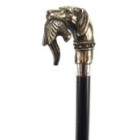 Ebonised walking stick with dog's head design pommel and silver collar, 91.5cm in length : For