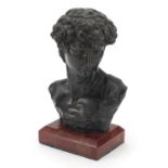 Large patinated bronze bust of Michelangelo's David, raised on a rectangular rouge marble base