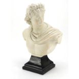 Large Austin classical plaster bust of Apollo, 53cm high : For Further Condition Reports Please