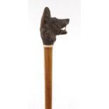 Malacca walking stick with ivory collar and carved Black Forest pommel in the form of a wolf's head,