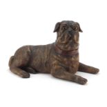 Life size hand painted model of a seated pug dog, 40cm wide : For Further Condition Reports Please