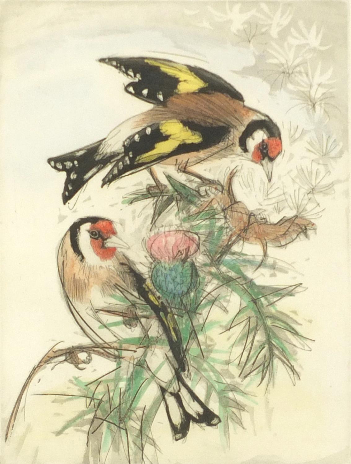 David Coster - Goldfinches, pencil signed hand coloured etching, limited edition 25/50, framed and