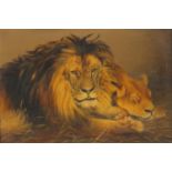 Lion and lioness, late 19th/early 20th century oil on canvas, bearing a signature J A Price, mounted