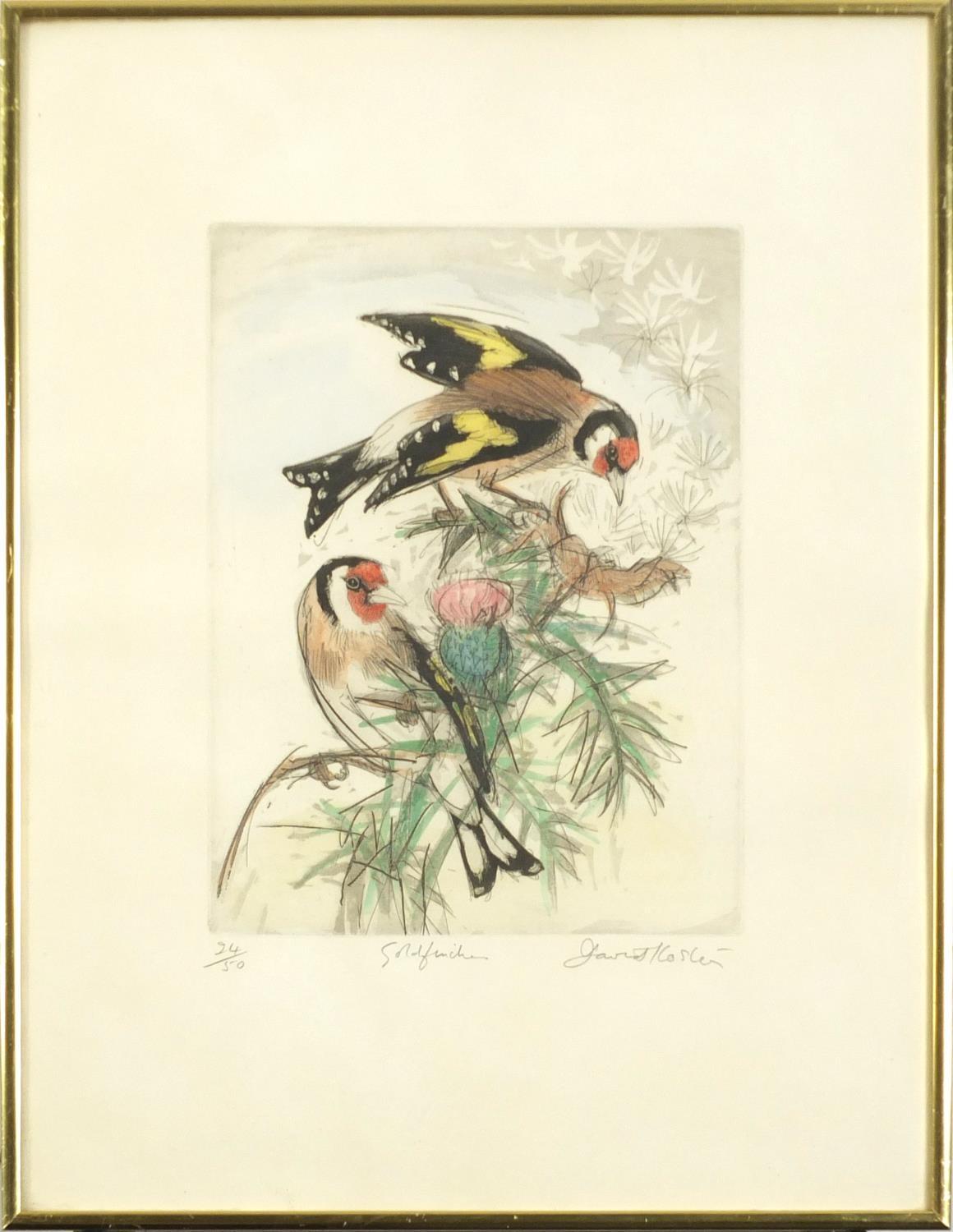 David Coster - Goldfinches, pencil signed hand coloured etching, limited edition 25/50, framed and - Image 2 of 4