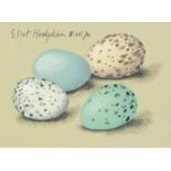 Manner of Eliot Hodgkin - Still life eggs, tempera on card, mounted, framed and glazed, 15.5cm x