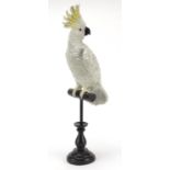 Painted model of a cockatoo in the style of Franz Xaver Bergmann, 51.5cm high : For Further