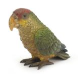 19th century Austrian cold painted bronze parrot in the style of Franz Xaver Bergmann, 9.5cm