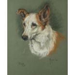 Marjorie Cox - Portrait of a dog, Max, signed mixed media, framed and glazed, 45cm x 37cm : For