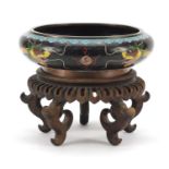 Chinese cloisonné squatted bowl raised on carved hardwood stand, enamelled with dragons chasing a
