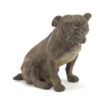 Cold painted bronze seated dog in the style of Franz Xaver Bergmann, 12.5cm high : For Further