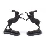 Pair of patinated bronze boxing hares raised on shaped black marble bases, each 29.5cm high : For