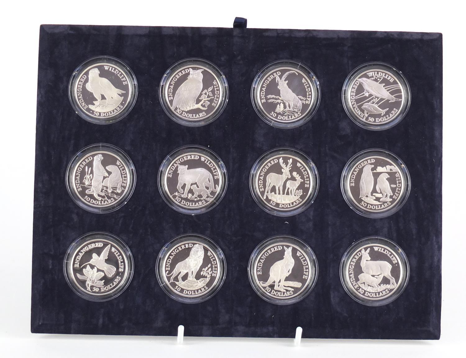 Cook Island Endangered Wildlife silver proof coin collection comprising twelve fifty dollars with - Image 2 of 3