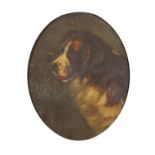 St Bernard dog, 19th century oval oil on canvas, framed, 49cm x 39cm : For Further Condition Reports