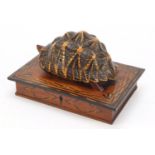 Anglo Indian star tortoise tea caddy work box with ebony, fruitwood and exotic inlay, the
