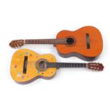 Two wooden acoustic guitars comprising Hohner model LC120 and Stag model C530 : For Further
