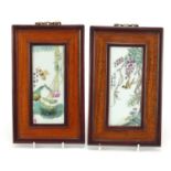 Pair of Chinese porcelain panels housed in hardwood frames, each hand painted with birds amongst