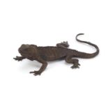 Large Japanese patinated bronze iguana, impressed character marks to the underside, 15cm in length :