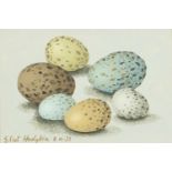 Attributed to Eliot Hodgkin - Still life eggs, tempera on card, mounted, framed and glazed, 18cm x