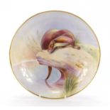 Minton porcelain bowl hand painted with an otter by L Sumner, 29cm in diameter : For Further