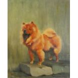 Claude Rampling - Saba, Pekingese dog, signed oil on board, details verso, framed, 49cm x 39cm : For